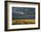 Kenya, Maasai Mara, Mara River Basin, Storm Cloud at Sunset and Road-Alison Jones-Framed Photographic Print