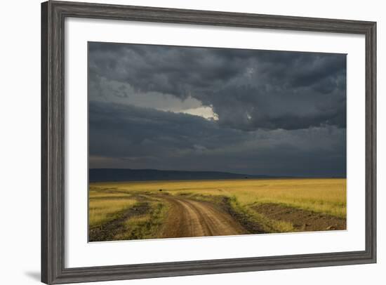 Kenya, Maasai Mara, Mara River Basin, Storm Cloud at Sunset and Road-Alison Jones-Framed Photographic Print