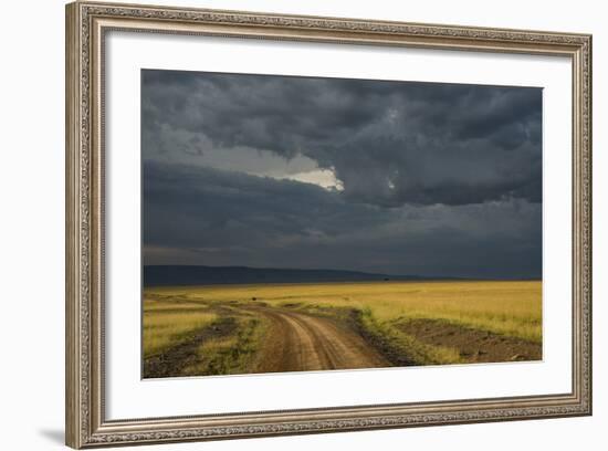 Kenya, Maasai Mara, Mara River Basin, Storm Cloud at Sunset and Road-Alison Jones-Framed Photographic Print