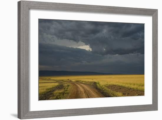 Kenya, Maasai Mara, Mara River Basin, Storm Cloud at Sunset and Road-Alison Jones-Framed Photographic Print
