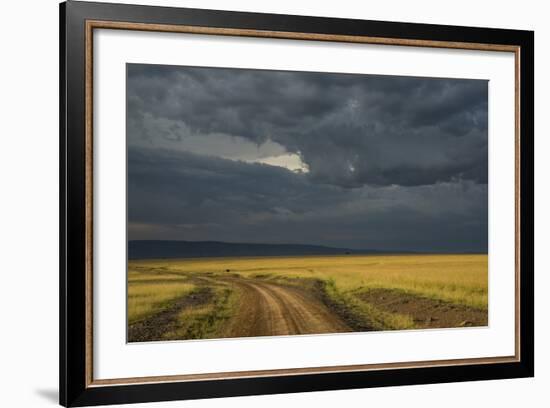 Kenya, Maasai Mara, Mara River Basin, Storm Cloud at Sunset and Road-Alison Jones-Framed Photographic Print