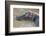 Kenya, Maasai Mara, Mara Triangle, Hippopotamus in Mara River-Alison Jones-Framed Photographic Print