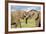 Kenya, Maasai Mara, Mara Triangle, Mara River Basin, African Elephant-Alison Jones-Framed Photographic Print