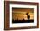 Kenya, Maasai Mara, Mara Triangle, Mara River Basin, Impalas at Sunset-Alison Jones-Framed Photographic Print