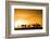 Kenya, Maasai Mara, Mara Triangle, Mara River Basin, Impalas at Sunset-Alison Jones-Framed Photographic Print