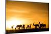 Kenya, Maasai Mara, Mara Triangle, Mara River Basin, Impalas at Sunset-Alison Jones-Mounted Photographic Print