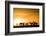 Kenya, Maasai Mara, Mara Triangle, Mara River Basin, Impalas at Sunset-Alison Jones-Framed Photographic Print