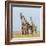 Kenya, Maasai Mara, Mara Triangle, Mara River Basin, Maasai Giraffe-Alison Jones-Framed Photographic Print