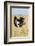 Kenya, Maasai Mara, Mara Triangle, Mara River Basin, Masai Ostrich-Alison Jones-Framed Photographic Print