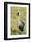 Kenya, Maasai Mara, Mara Triangle, Pair of Grey Crowned Crane-Alison Jones-Framed Photographic Print