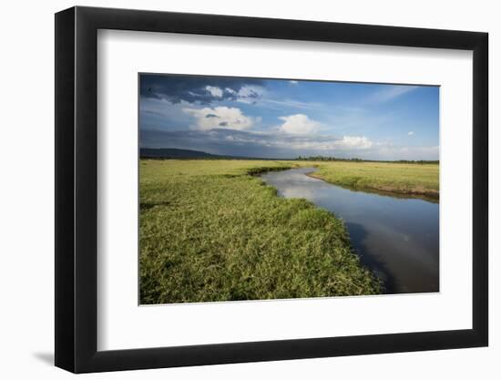 Kenya, Maasai Mara, Mara Triangle, Wetland Called 'Governor's Swamp'-Alison Jones-Framed Photographic Print