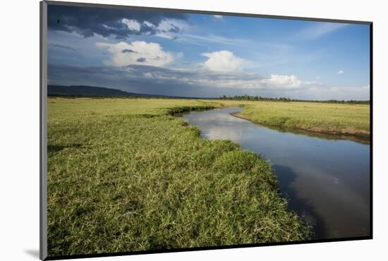 Kenya, Maasai Mara, Mara Triangle, Wetland Called 'Governor's Swamp'-Alison Jones-Mounted Photographic Print
