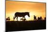 Kenya, Maasai Mara, Mara Triangle, Zebras and Impala at Sunset-Alison Jones-Mounted Photographic Print