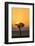 Kenya, Maasai Mara, Sunrise Behind Balanites Tree and Hot Air Balloon-Alison Jones-Framed Photographic Print