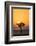 Kenya, Maasai Mara, Sunrise Behind Balanites Tree and Hot Air Balloon-Alison Jones-Framed Photographic Print