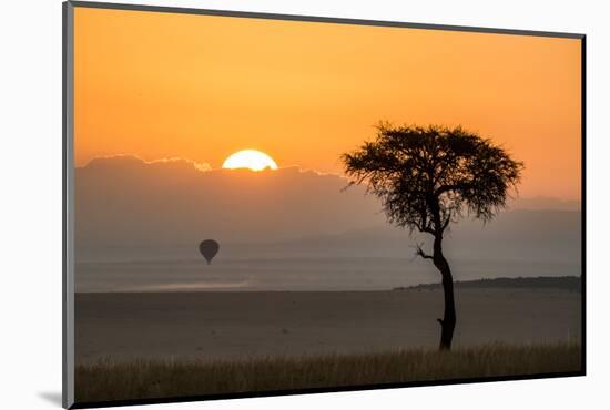 Kenya, Maasai Mara, Sunrise Behind Balanites Tree and Hot Air Balloon-Alison Jones-Mounted Photographic Print