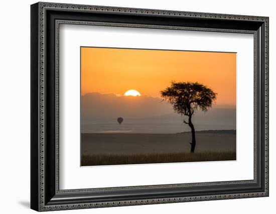 Kenya, Maasai Mara, Sunrise Behind Balanites Tree and Hot Air Balloon-Alison Jones-Framed Photographic Print