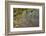 Kenya, Maasai Mara, Weaver Bird Nests Hanging over Mara River-Alison Jones-Framed Photographic Print