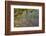 Kenya, Maasai Mara, Weaver Bird Nests Hanging over Mara River-Alison Jones-Framed Photographic Print