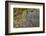 Kenya, Maasai Mara, Weaver Bird Nests Hanging over Mara River-Alison Jones-Framed Photographic Print