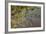 Kenya, Maasai Mara, Weaver Bird Nests Hanging over Mara River-Alison Jones-Framed Photographic Print