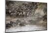 Kenya, Maasai Mara, Wildebeest Crossing the Mara River-Hollice Looney-Mounted Photographic Print