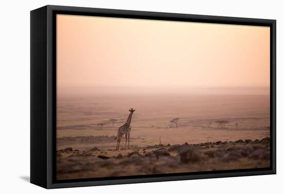 Kenya, Mara North Conservancy. a Young Giraffe with Never Ending Plains of Maasai Mara Behind-Niels Van Gijn-Framed Premier Image Canvas