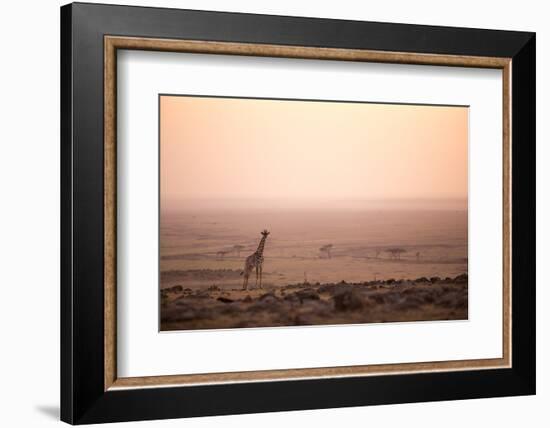 Kenya, Mara North Conservancy. a Young Giraffe with Never Ending Plains of Maasai Mara Behind-Niels Van Gijn-Framed Photographic Print