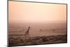 Kenya, Mara North Conservancy. a Young Giraffe with Never Ending Plains of Maasai Mara Behind-Niels Van Gijn-Mounted Photographic Print