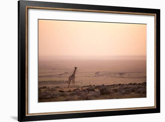 Kenya, Mara North Conservancy. a Young Giraffe with Never Ending Plains of Maasai Mara Behind-Niels Van Gijn-Framed Photographic Print