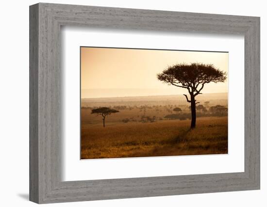 Kenya, Mara North Conservancy. Mara North Landscape at Dawn.-Niels Van Gijn-Framed Photographic Print