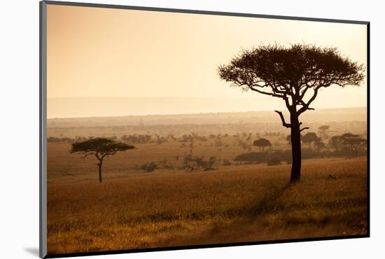 Kenya, Mara North Conservancy. Mara North Landscape at Dawn.-Niels Van Gijn-Mounted Photographic Print