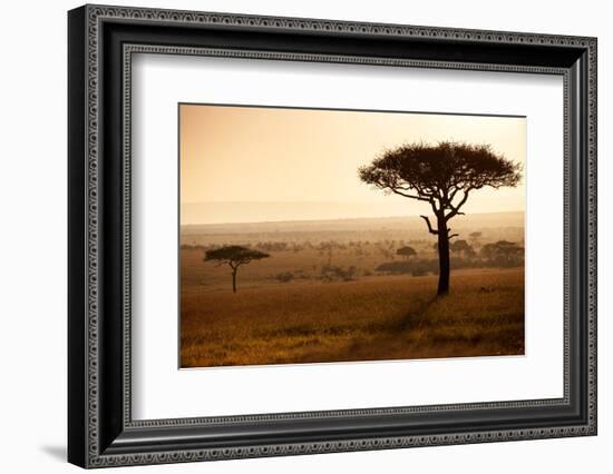 Kenya, Mara North Conservancy. Mara North Landscape at Dawn.-Niels Van Gijn-Framed Photographic Print