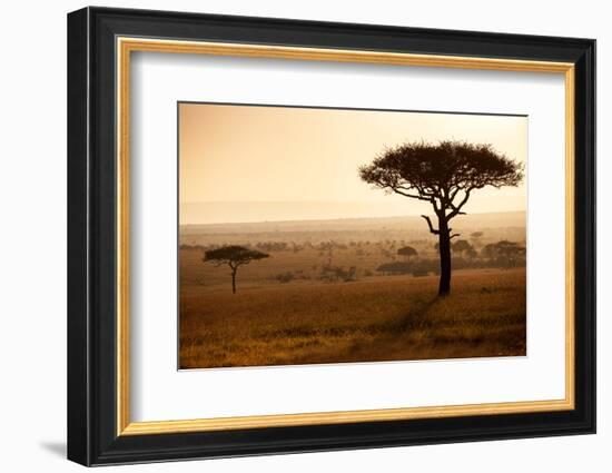 Kenya, Mara North Conservancy. Mara North Landscape at Dawn.-Niels Van Gijn-Framed Photographic Print