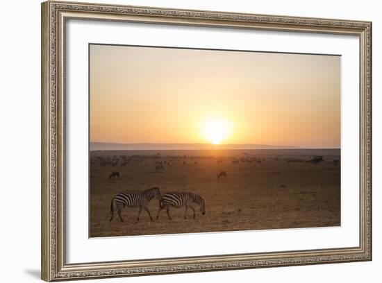 Kenya, Mara North Conservancy. Plains Game Graze in Morning Light, Mara North Conservancy-Niels Van Gijn-Framed Photographic Print