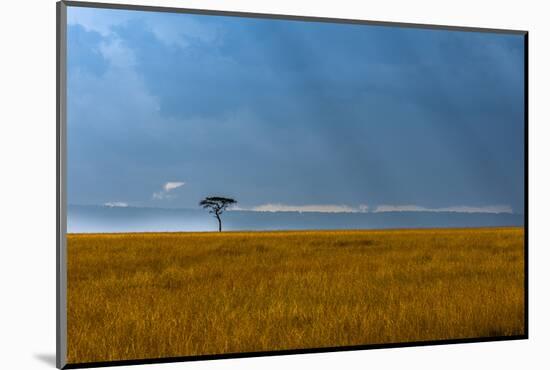 Kenya, Masai Mara, Lone tree-George Theodore-Mounted Photographic Print