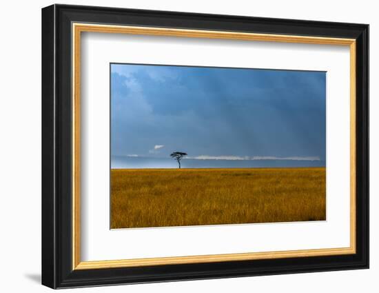 Kenya, Masai Mara, Lone tree-George Theodore-Framed Photographic Print