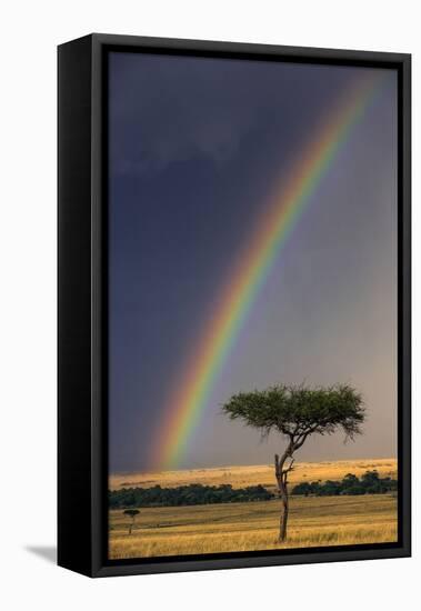 Kenya, Masai Mara, Narok County. a Brilliant Rainbow in Masai Mara National Reserve.-Nigel Pavitt-Framed Premier Image Canvas