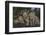 Kenya, Masai Mara National Reserve. Mother cheetah and cubs.-Jaynes Gallery-Framed Photographic Print