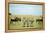 Kenya, Masai Mara National Reserve, Rear View of Zebras Looking at the Plain-Anthony Asael/Art in All of Us-Framed Premier Image Canvas