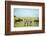 Kenya, Masai Mara National Reserve, Rear View of Zebras Looking at the Plain-Anthony Asael/Art in All of Us-Framed Photographic Print