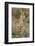 Kenya, Masai Mara-Nigel Pavitt-Framed Photographic Print