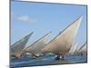 Kenya; Mashua Sailing Boats Participating in a Race Off Lamu Island-Nigel Pavitt-Mounted Photographic Print