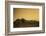 Kenya, Meru. a Giraffe Wanders across the Savannah in the Evening Light.-Niels Van Gijn-Framed Photographic Print