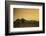 Kenya, Meru. a Giraffe Wanders across the Savannah in the Evening Light.-Niels Van Gijn-Framed Photographic Print