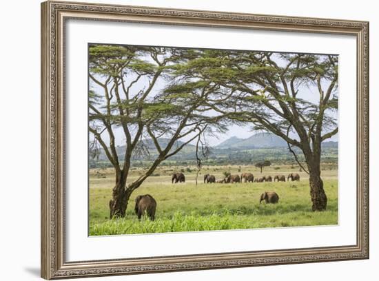 Kenya, Meru County-Nigel Pavitt-Framed Photographic Print