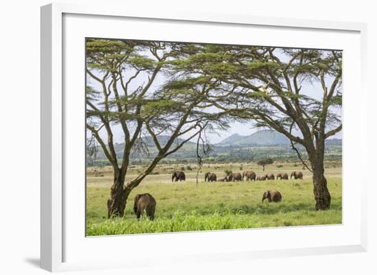 Kenya, Meru County-Nigel Pavitt-Framed Photographic Print