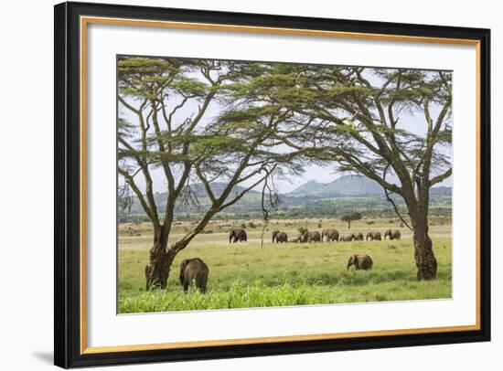 Kenya, Meru County-Nigel Pavitt-Framed Photographic Print