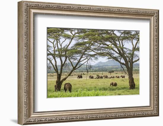 Kenya, Meru County-Nigel Pavitt-Framed Photographic Print