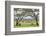 Kenya, Meru County-Nigel Pavitt-Framed Photographic Print